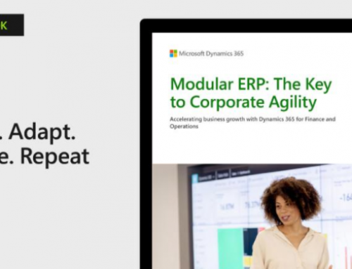 e-Book / Modular ERP: The Key to Corporate Agility